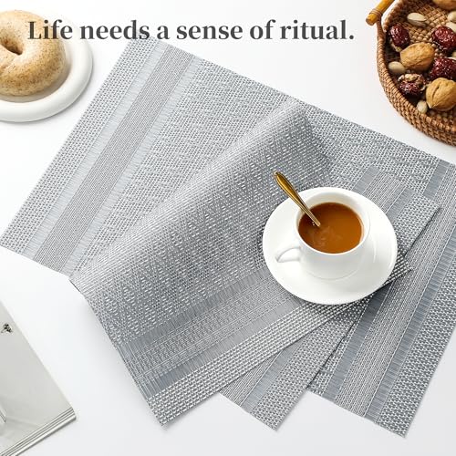 Lunar Grey Placemats Set of 6 (6 Count)