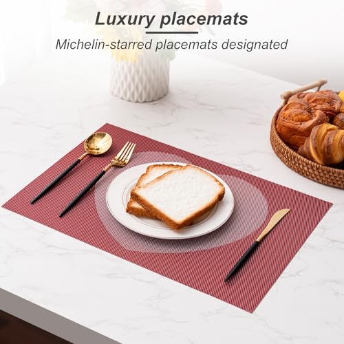 Placemats Set of 4 Washable Indoor (4 Count)