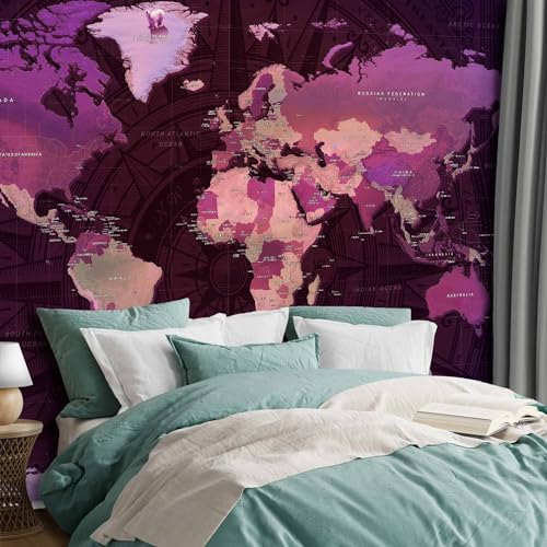 Wall Mural World Map 173x124 in (9 Count)