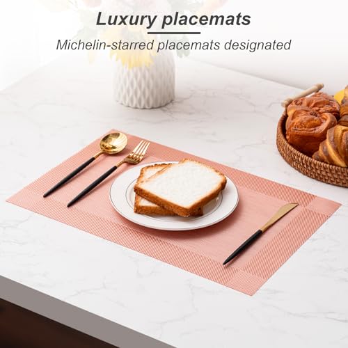 Placemats Set of 6 Washable Indoor (6 Count)