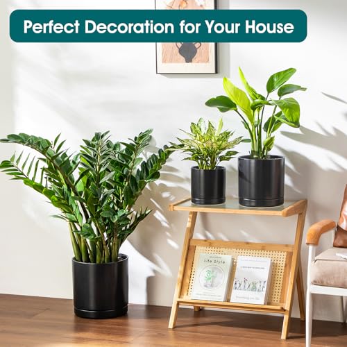 Ceramic Planters (3 Count)