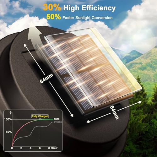 Solar Pathway Lights