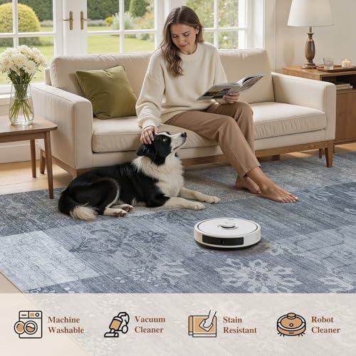 8x10 Area Rug for Living Room (24 Count)