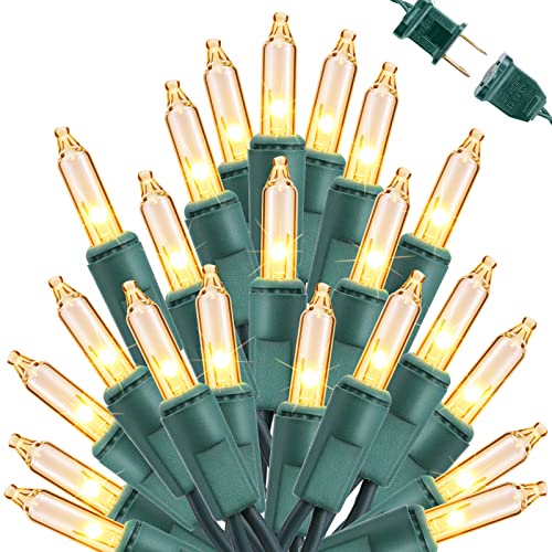 Clear Christmas Lights (75 Foot)