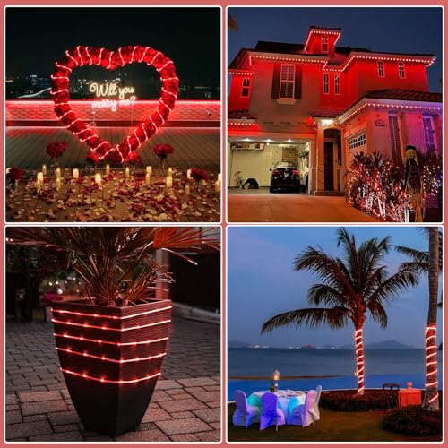 164FT 500 LED Rope Lights for Outside