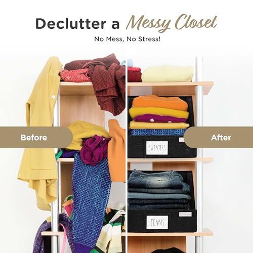 Open Front Trapezoid Closet Bins (3 Count)