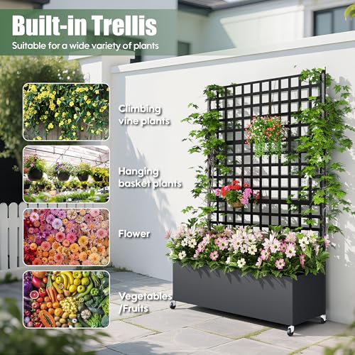 Metal Planter Box with Trellis Privacy Screen