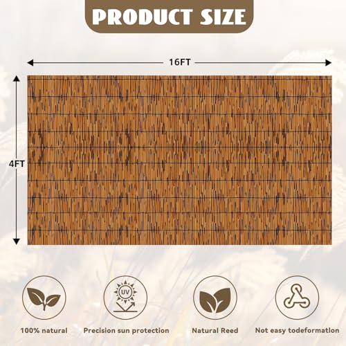 Reed Fencing Rolls (64 Sq Ft)