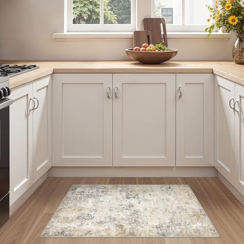 2x3 Entryway Area Rug (2 Sq Ft)