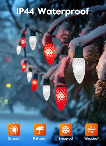 Outdoor Christmas Lights (50 Count)