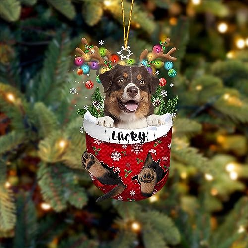 Australian Shepherd 3