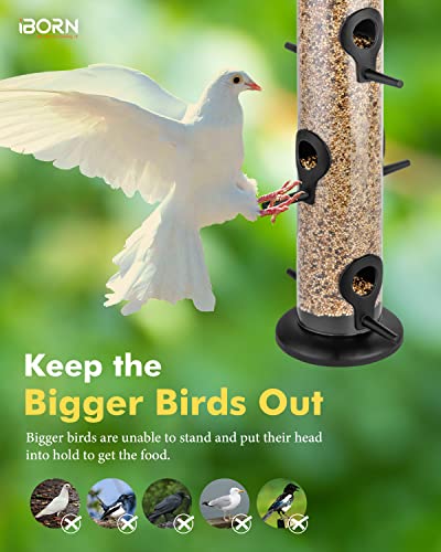 Metal Bird Feeder Hanging Wild Bird Seed Feeder for Mix Seed Blends Heavy Duty All Metal Black Finish (2 Count)