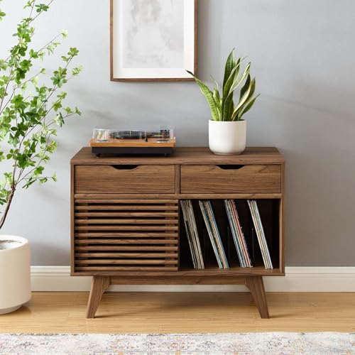 Render Mid Century Modern Vinyl Record Storage Display Cabinet