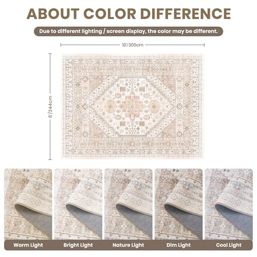 8x10 Area Rugs for Living Room (80 Sq Ft)