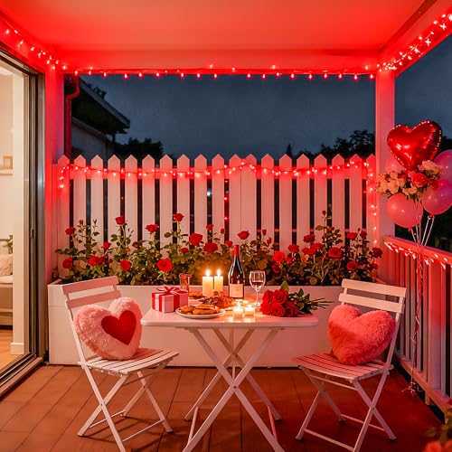 168Ft 600 LED Red Halloween Lights Outdoor Indoor Christmas Lights (168 Foot)