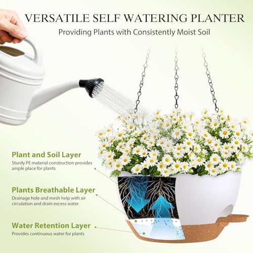 10 Inch Hanging Baskets 2 PC with Chains (2 Count)