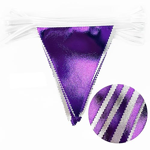Purple and Silver Party Decorations Triangle Pennant Banner Flag Metallic Fabric Bunting Garland for Birthday Graduation Retirement Bachelorette Wedding Bridal Shower Engagement Disco Party Supplies (36 Count)