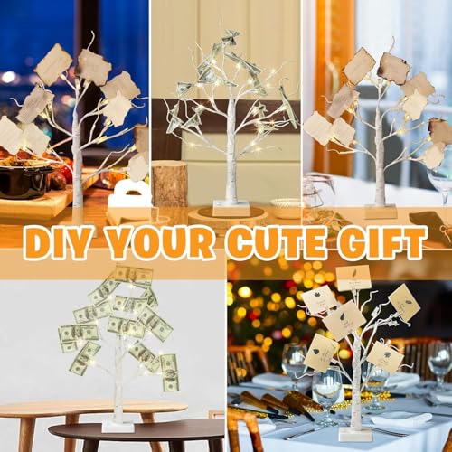 Money Tree Gift Holder