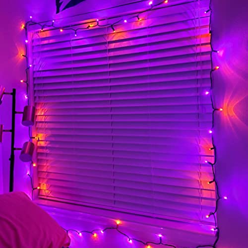 Purple and Orange Halloween Fairy String Lights (20 Foot)