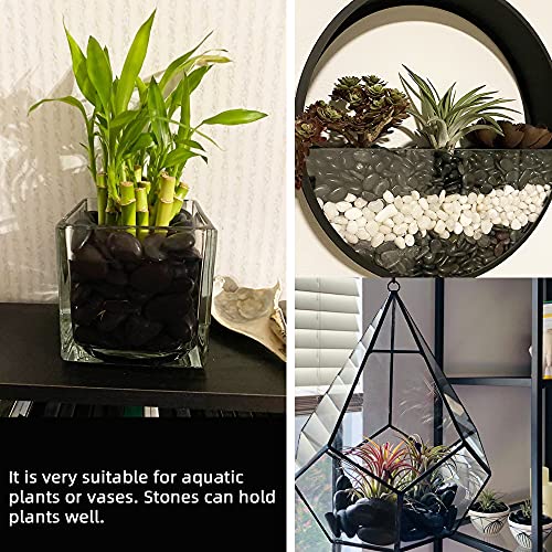 Black Pebbles for Plants 18lb 0.5"
