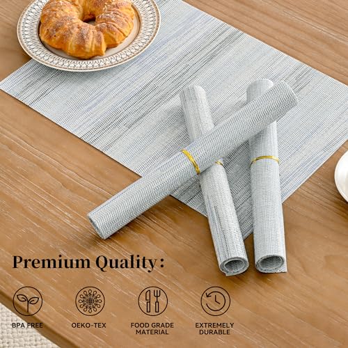 LightSteel Blue Placemats Set of 4 (4 Count)
