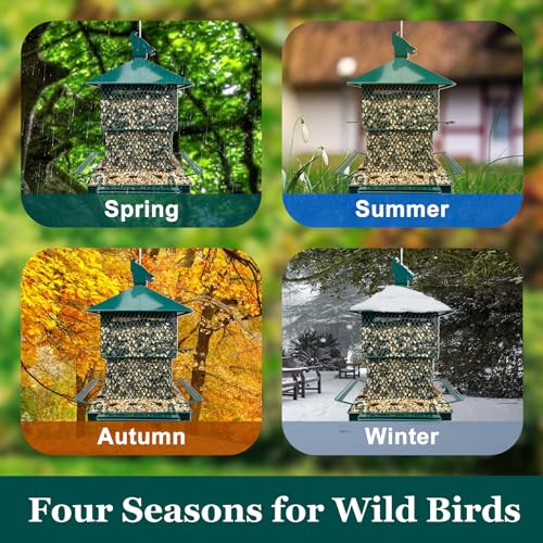 Bird Feeders for Outdoors