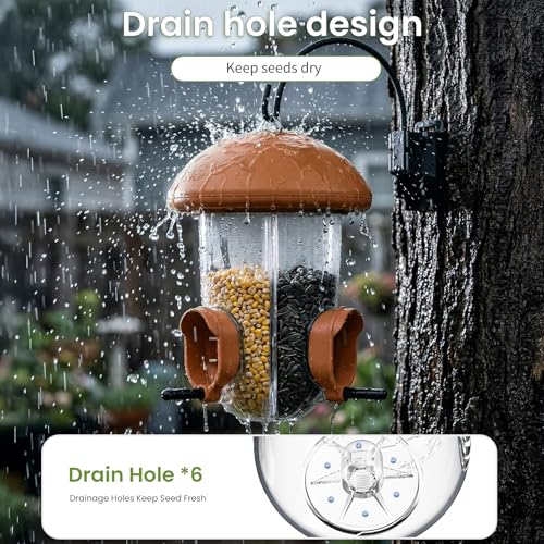 LONA Bird Feeder with 3 Compartments