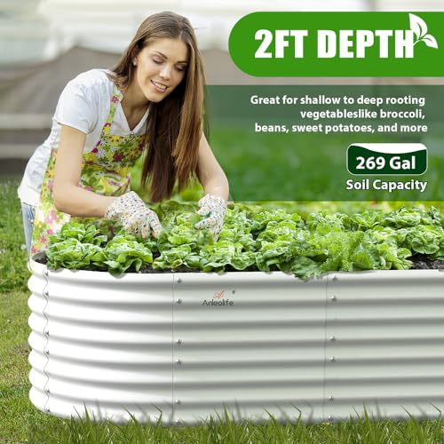 Anleolife 2 Bed 6x3x2ft Oval Galvanized Raised Garden Beds (2 Count)