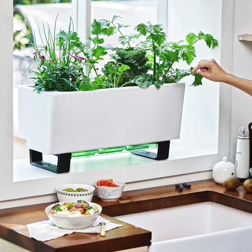 Self Watering Mini Bench Planter