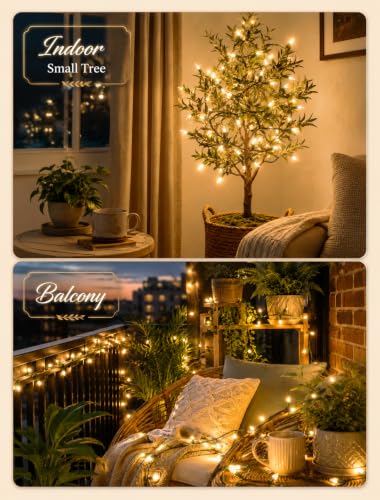 Clear Christmas Lights (13 Foot)