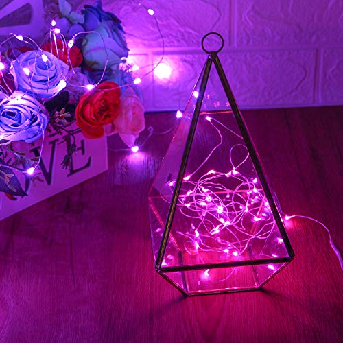Fairy Lights Waterproof LED Starry String Lights for Indoor & Outdoor DIY Decoration (10 Foot)