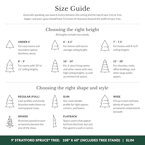 Stratford Spruce