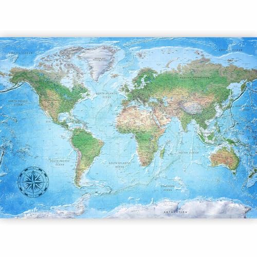 Wall Mural World Map 193x138 in (10 Count)