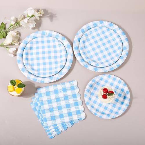 150 Pcs Light Blue Gingham Paper Plates and Napkins (150 Count)