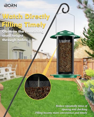 Bird Feeders for Outdoors