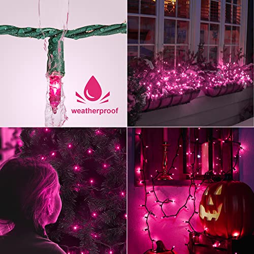 Purple Halloween Mini Lights (100 Count)
