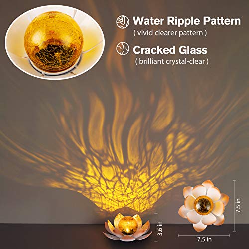 Garden Solar Lights Outdoor (2 Count)