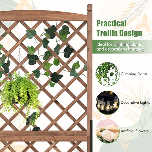 2 60” Raised Garden Bed with Trellis