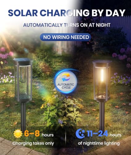 Solar Lights Outdoor Waterproof (12 Count)
