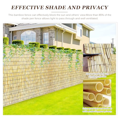 Natural Reed Fencing Rolls (42.84 Sq Ft)