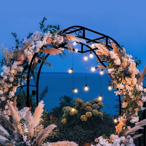 Metal Garden Arch 8.2 FT High x 6.2 FT Wide Garden Arbor Trellis for Outdoor Climbing Plants Support Rose Lawn Tall Large Wedding Archway