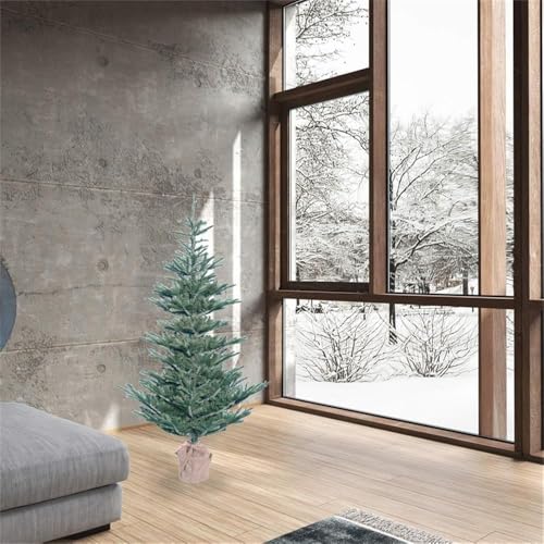 G160450 Alberta Blue Spruce Christmas Tree
