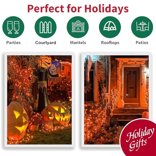 Orange Thanksgiving Mini Lights (100 Count)