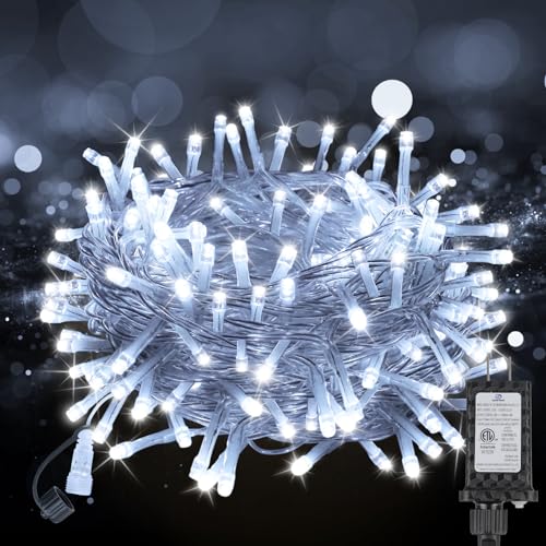 100FT 300 LED Christmas Lights Plug in (100 Foot)