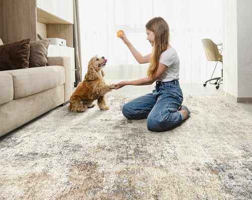 5x7 Area Rug Living Room Rugs (35 Sq Ft)