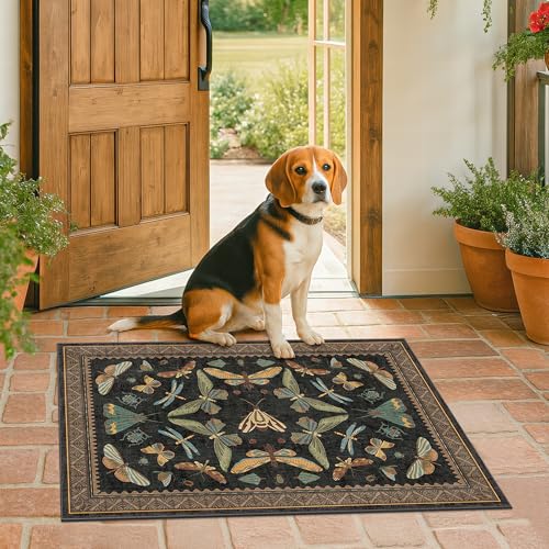 Small Black Entryway Rug (6 Sq Ft)