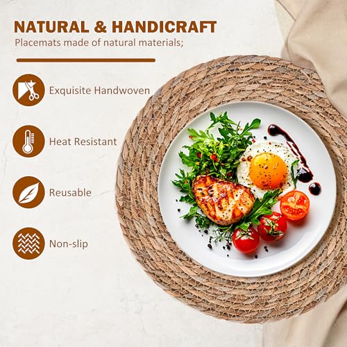 Defined Deco Woven Placemats Set of 6 (6 Count)