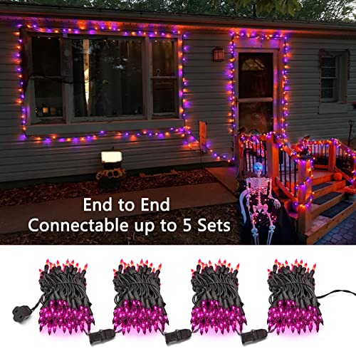 Orange & Purple Halloween String Lights