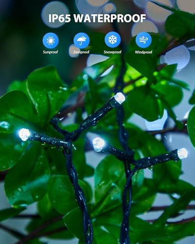Solar Outdoor String Lights