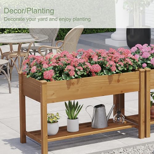 Raised Garden Bed with Shelf